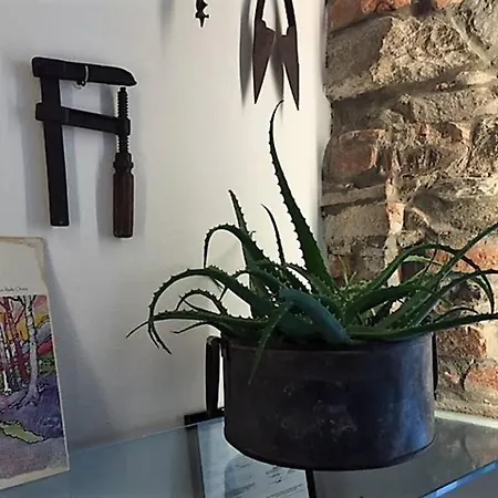 Casa Oliva Cinque Terre *